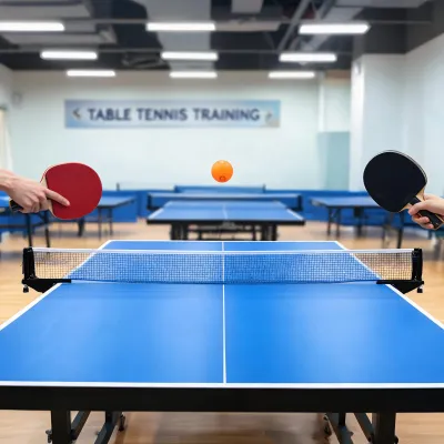 ping pong table